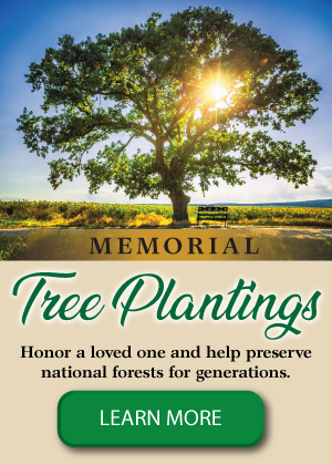 LEAP-071122-5241-Memorial-Tree-Planting-Website-Sidebar-GraphicV1-01